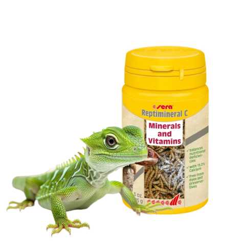 reptile